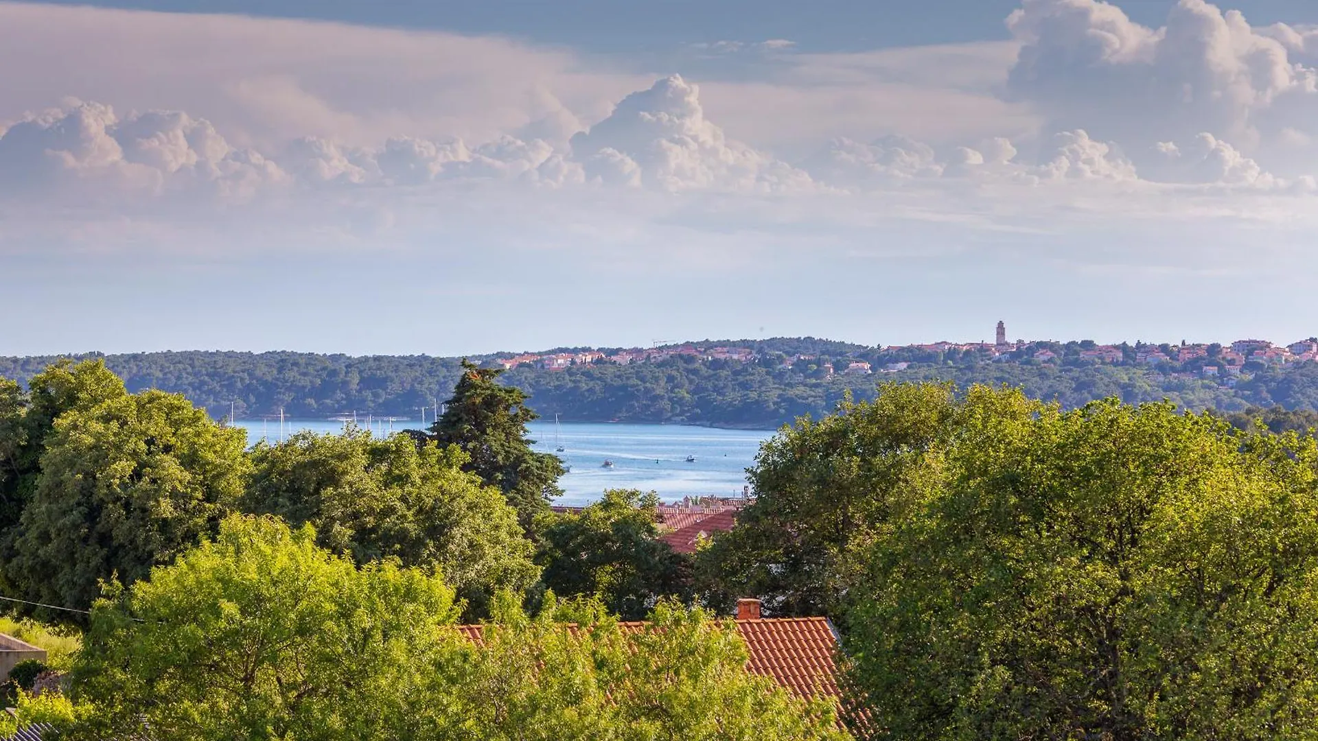 Apartment Suzana 2220 Medulin 0*,  Croatia